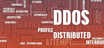 What are the Common Types of DDoS Attacks?
